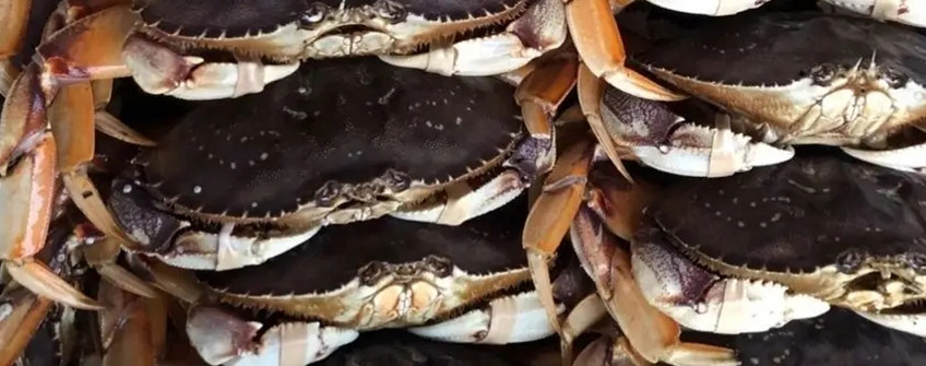 水产进口：海鲜进口从香港中转内地若何清关？