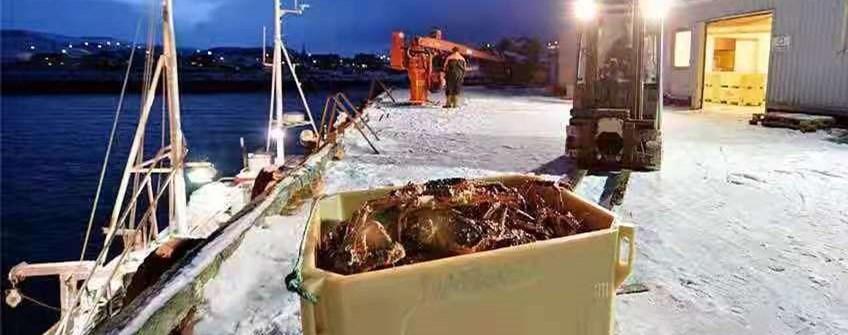 国表活海鲜进口昭通能够清关吗？